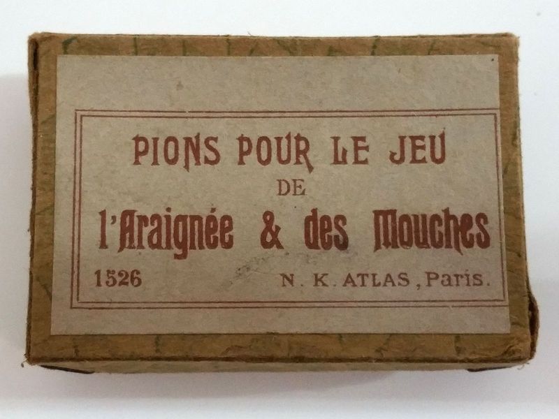 araignée et mouches