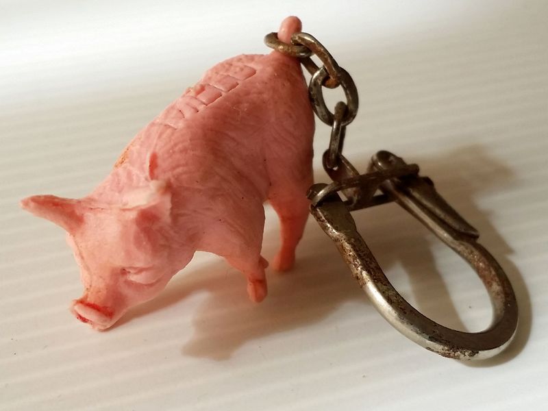 cochon