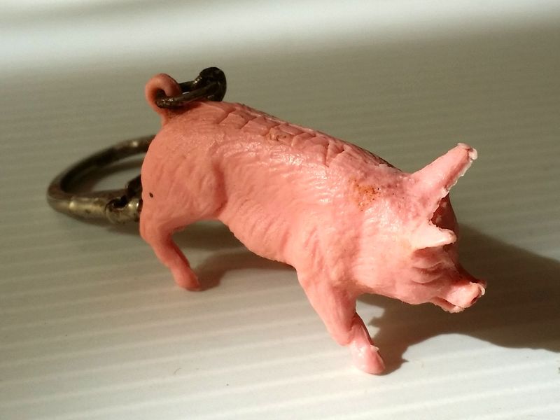 cochon