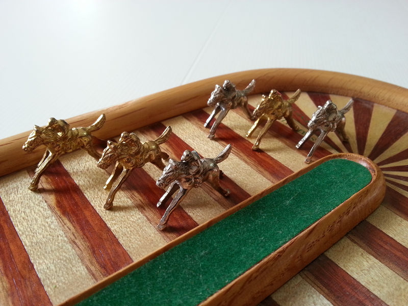 racing horse