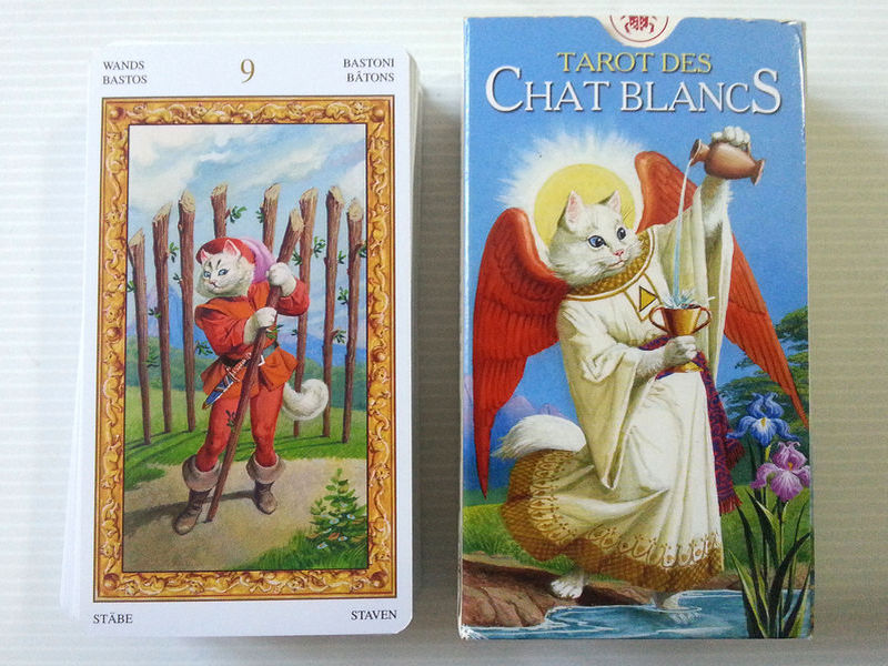 tarot chats blancs
