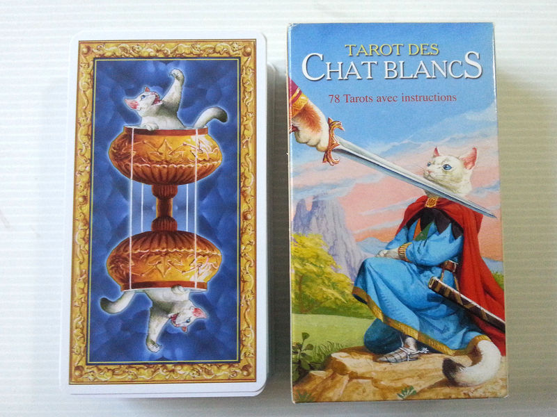 tarot chats blancs
