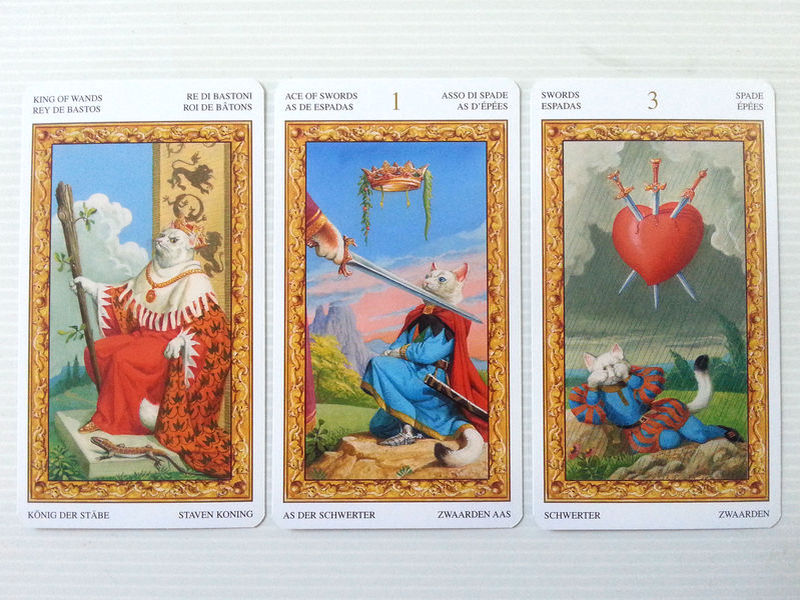 tarot chats blancs