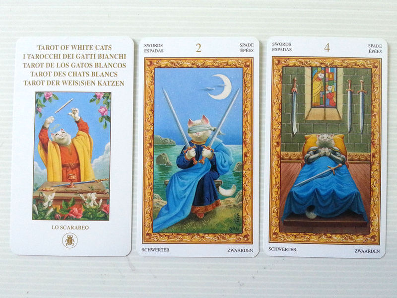 tarot chats blancs