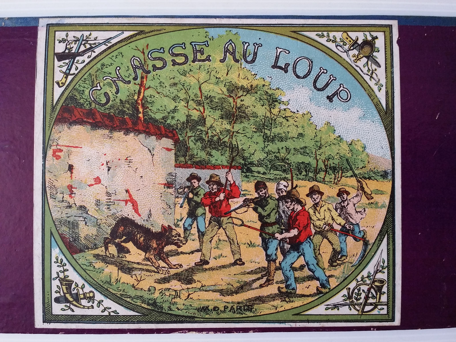 chasse au loup