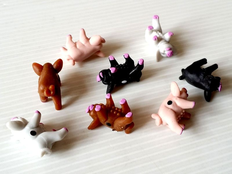 pig party