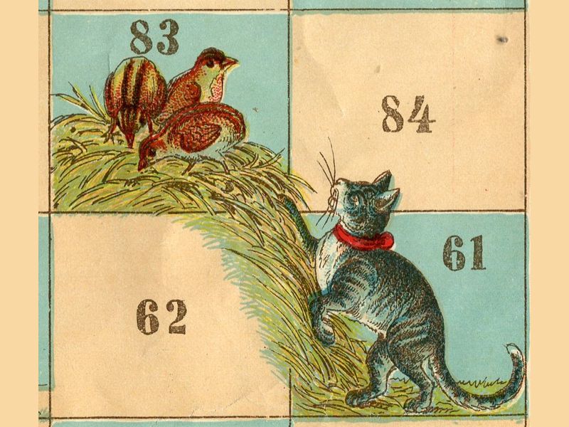 échelles et chats