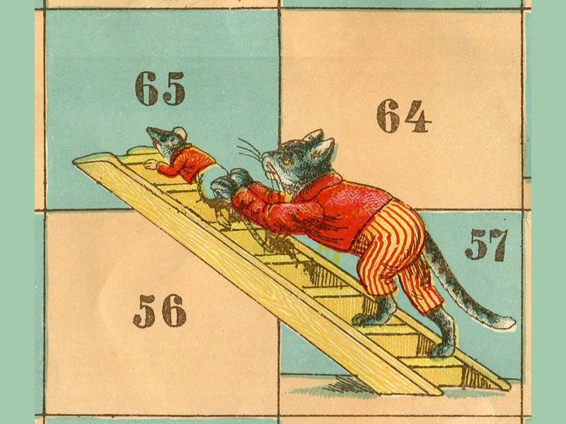 échelles et chats