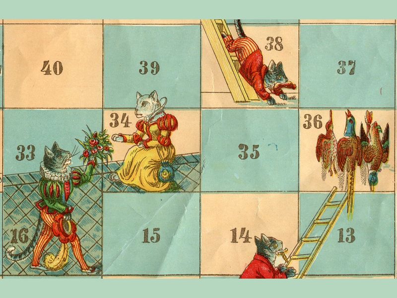 échelles et chats