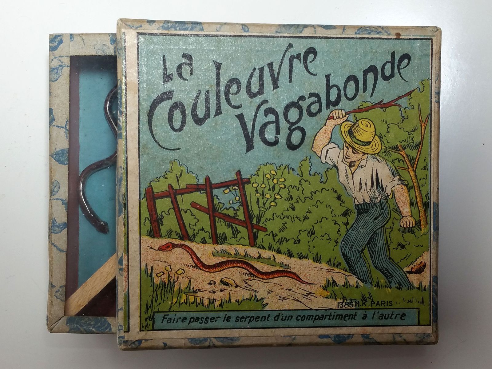 couleuvre vagabonde