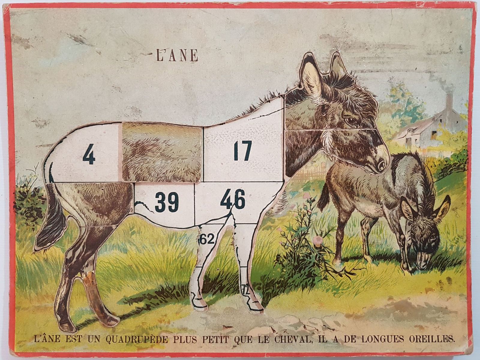 loto construction des animaux