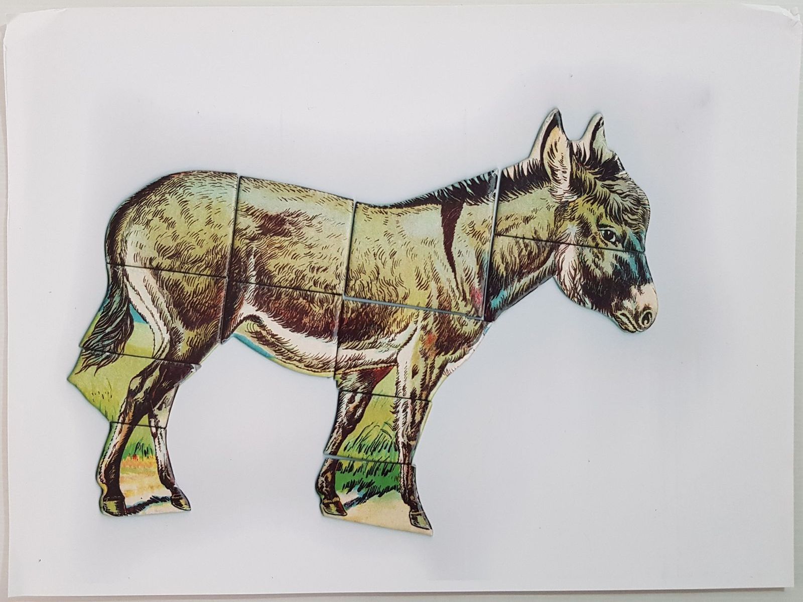 loto construction des animaux