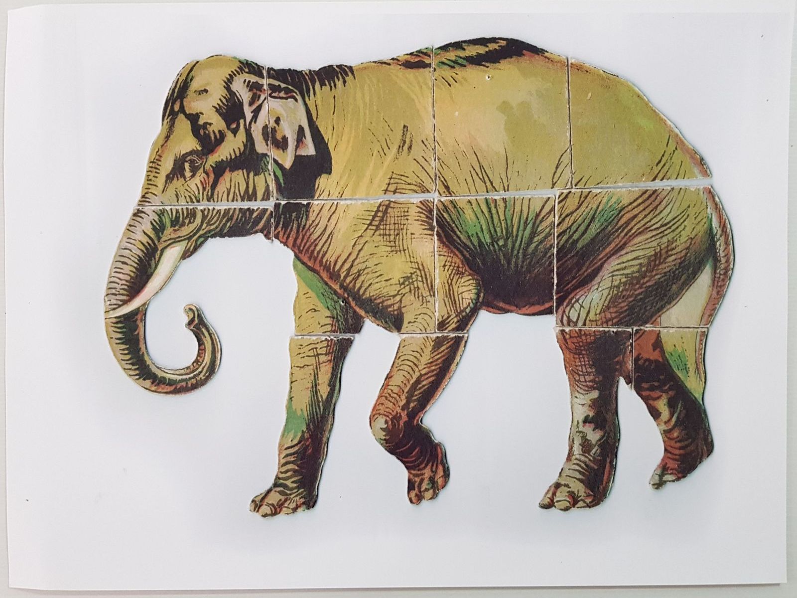 loto construction des animaux
