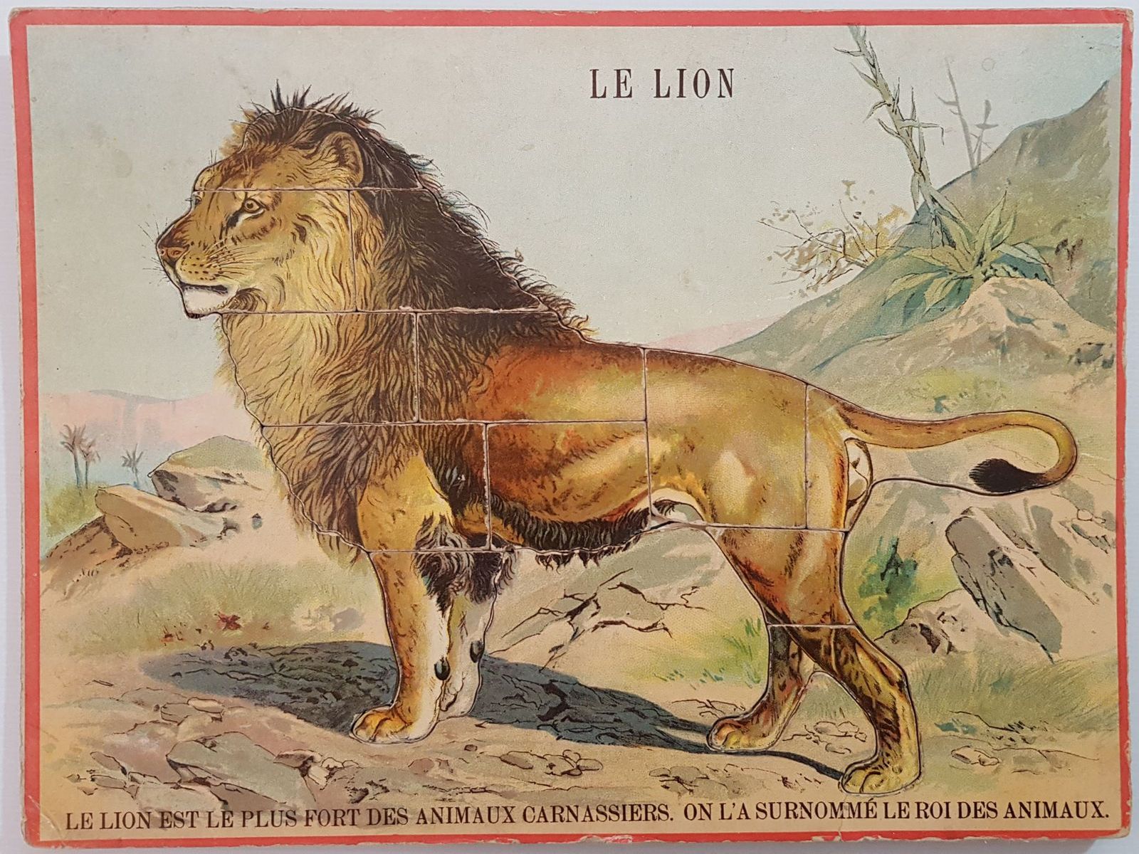 loto construction des animaux