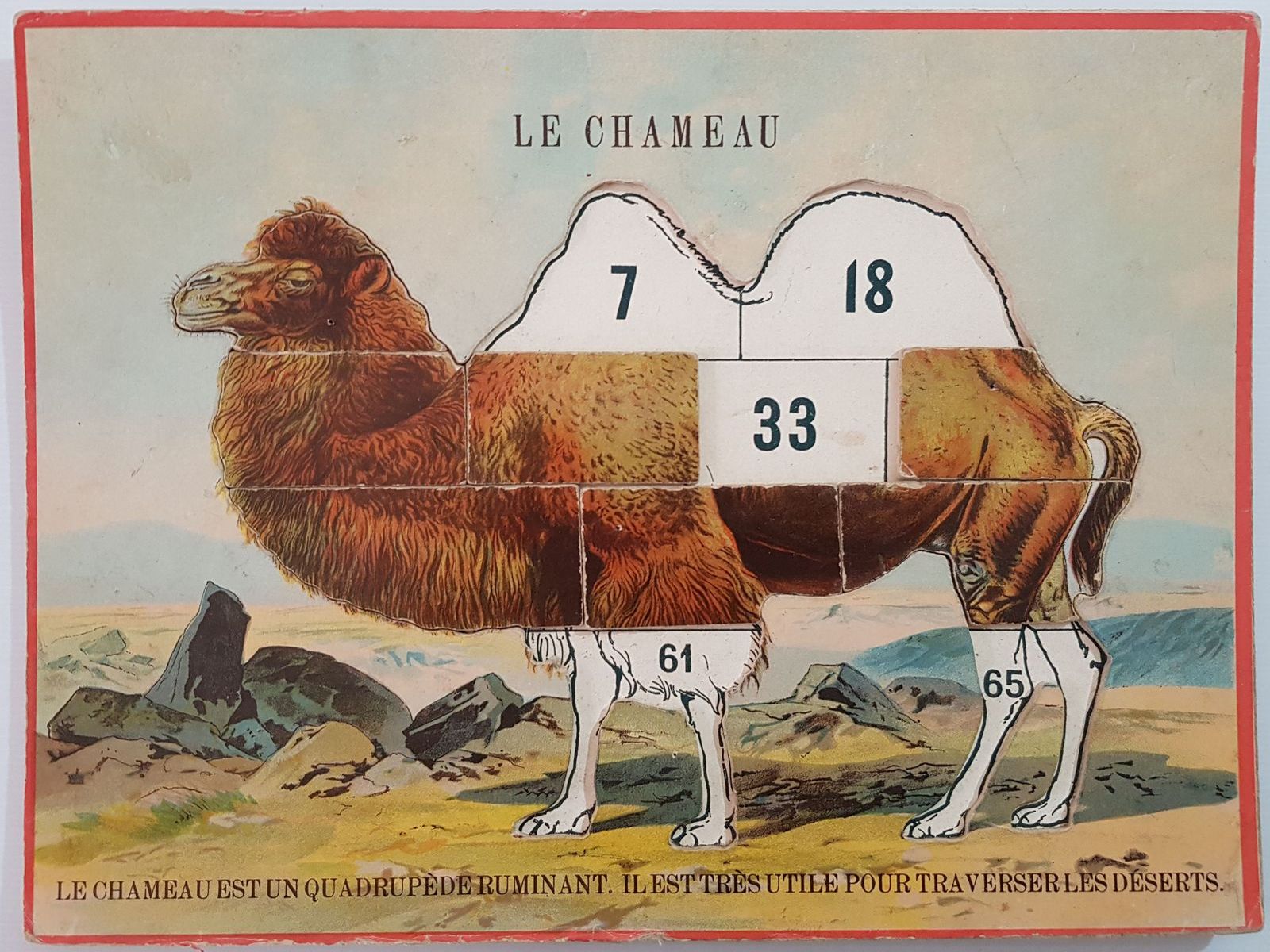 loto construction des animaux