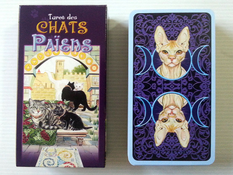 tarot chats paiens