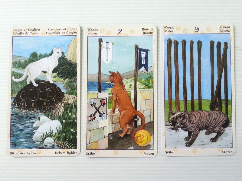 tarot chats paiens