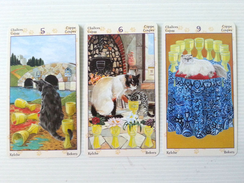 tarot chats paiens