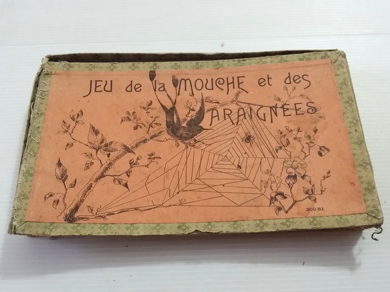 araignées et mouche