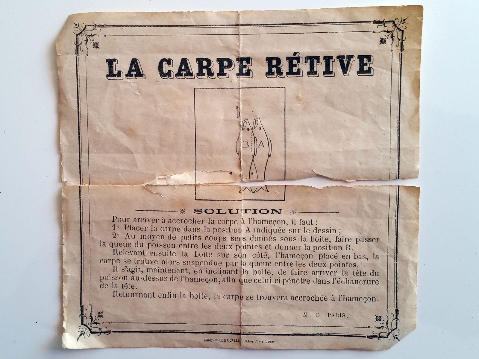 carpe rétive