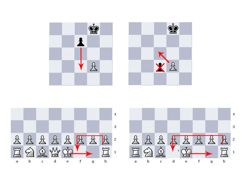 echecs